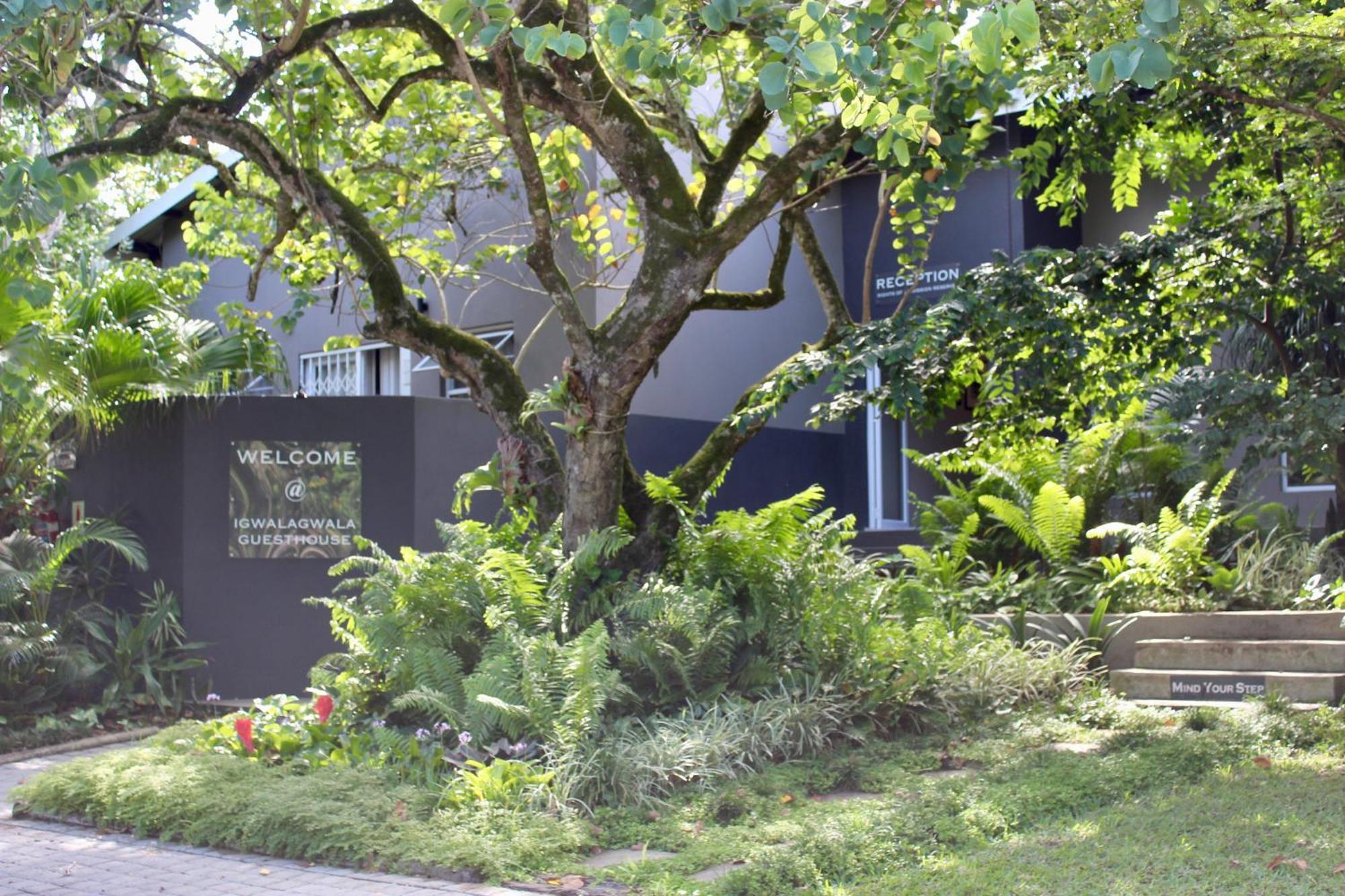 Igwalagwala Guest House St Lucia Exterior photo